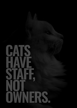 We work for Cats
