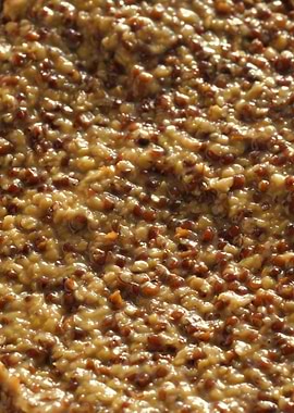 Wholegrain French Mustard