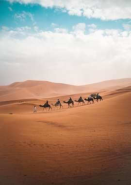 Sahara Desert