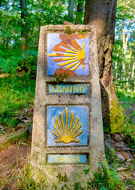 Camino de Santiago