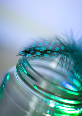 Glass and feather