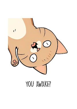 You Awake Funny Cat Meme