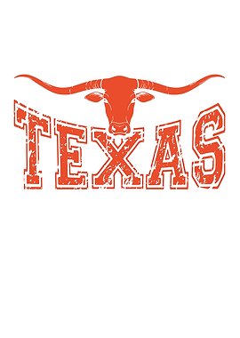 Texas cattle longhorn whit