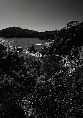 Coastal beaty in B and W