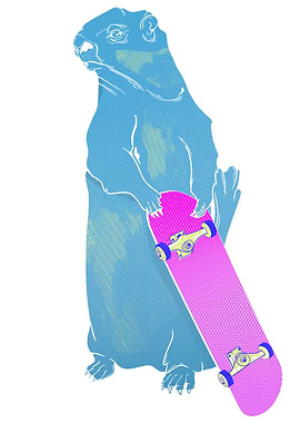 Marmot Skateboarding