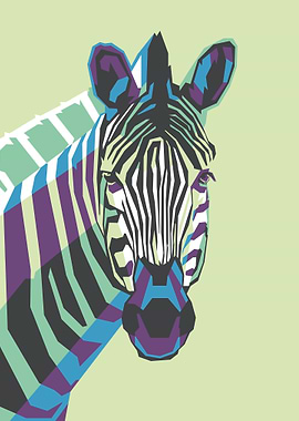 Zebra Illustration