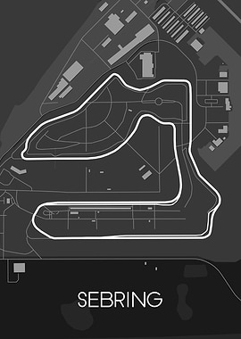 Sebring International Race