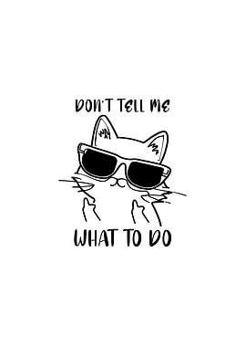 What to do Funny Cat Quote
