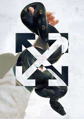 Snake Hypebeast off-white