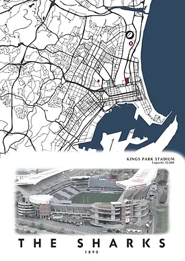 The Shark Hollywoodbets