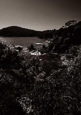 Coastal beauty in sepia