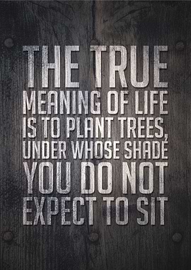 The true meaning of life