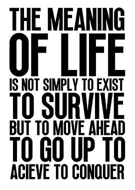 Meaning Of Life To Conquer