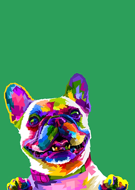 Animal French Bulldog