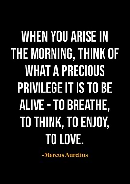 Marcus Aurelius quotes