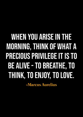 Marcus Aurelius quotes