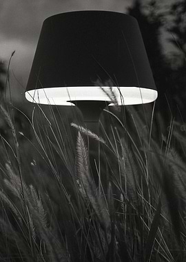 Lamp Night Plantas