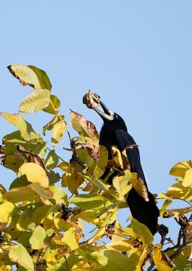 photography of a bird