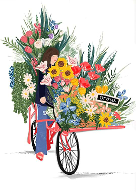 Decor for Living Room