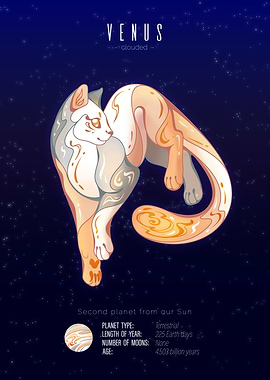 Venus Cat Planet