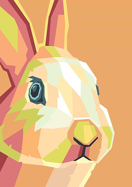 Rabbit Illustration