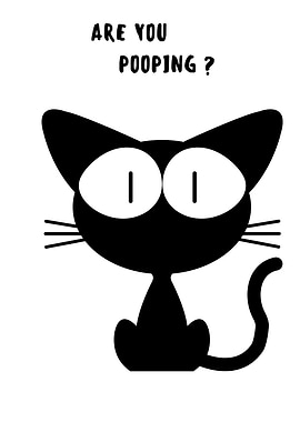 BLACK CAT ARE YOU POOPING