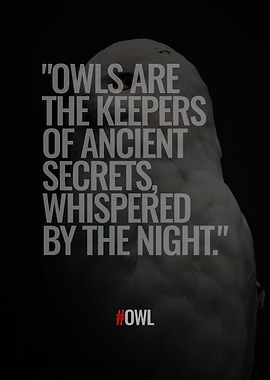 Owl Quotes