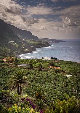 Tenerife Coast