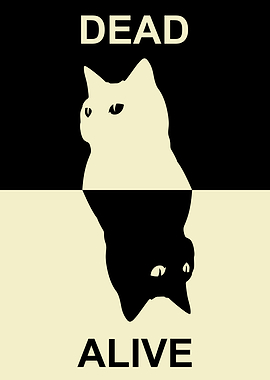 Life and Death of Cats