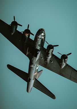 Sally B