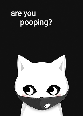 WHITE CAT ARE YOU POOPING