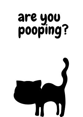 Black Cat Are You Pooping
