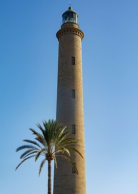 Lighthouse with palm tree