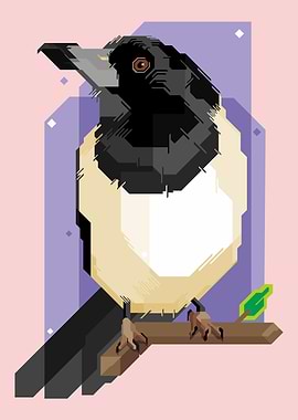 SQUARE BUTCHERBIRD VECTOR