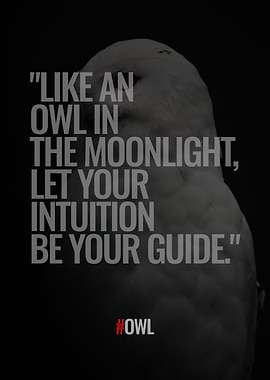 Owl Quotes