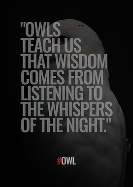 Owl about Quotes