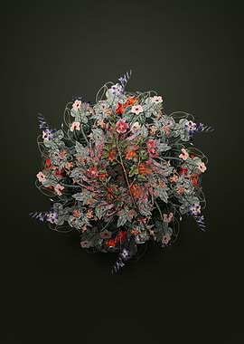 Cape African Queen Wreath