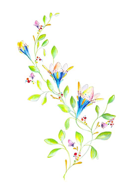 Unusual flower series 6