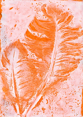 Orange Feathers Monoprint