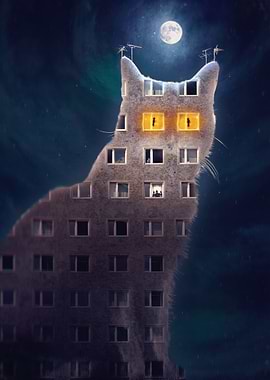 House Cat