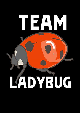 Team Ladybug