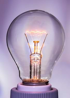 Electric light bulb