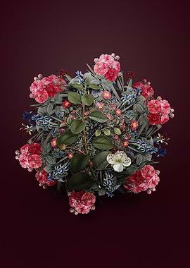 Caper Plant Flower Wreath