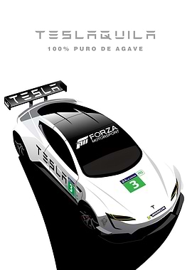 TESLA ENDURANCE RACE CAR