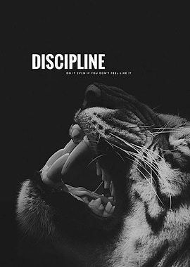 Discipline