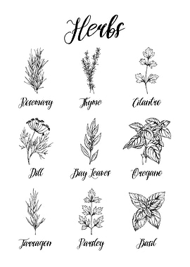 Spices and Herbs Guide