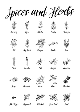 Spices and Herbs Guide