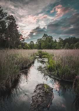 Moody Marsh Sunset