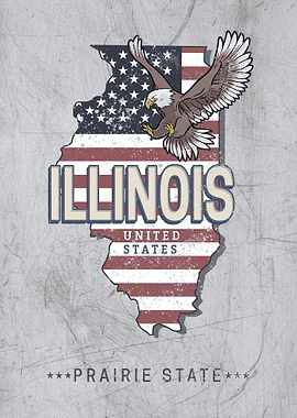 Illinois United States Map