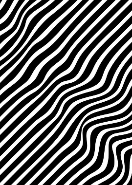 Fashion Zebra beauty Lines